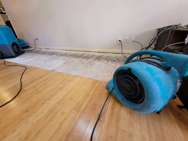 Professional Flood Damage Cleanup technician working in Albany, OR